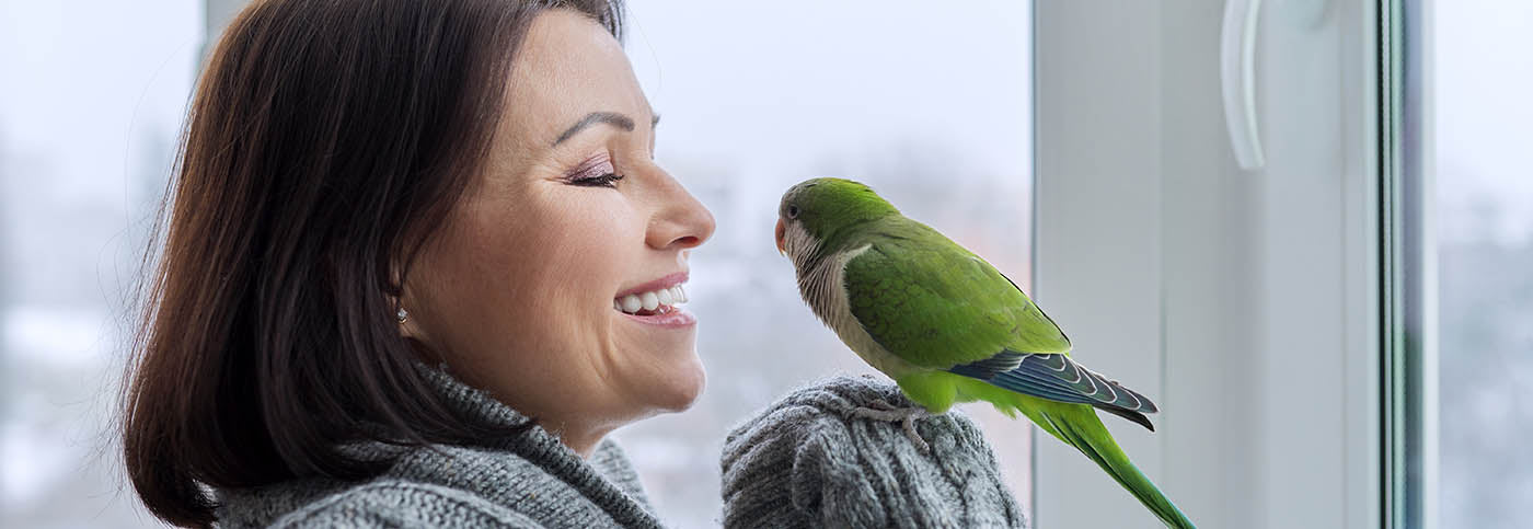 Let’s talk about Quaker Parrots, shall we?