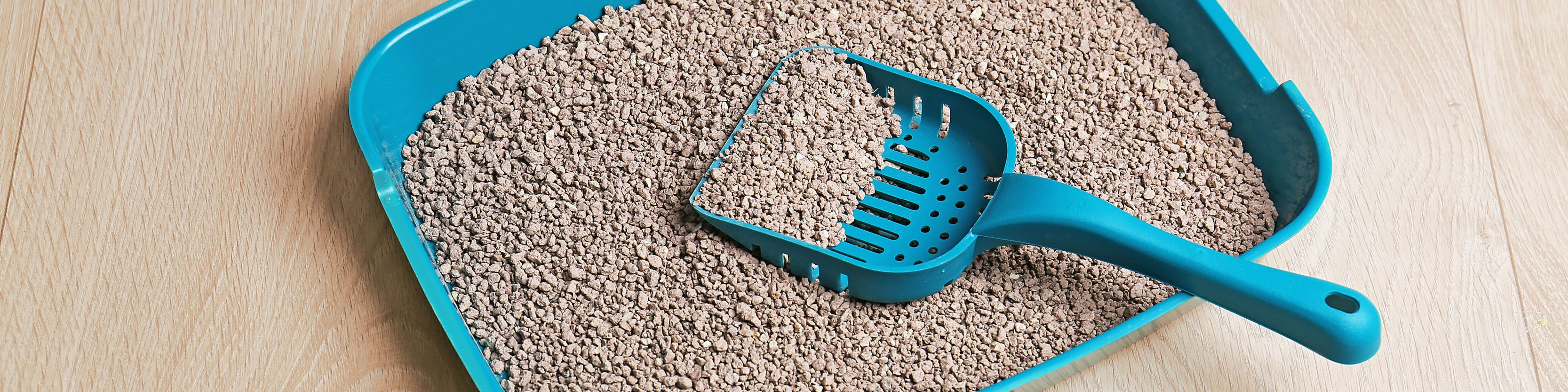 Cat Litter & Accessories