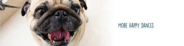 August Sale - Dog Dental Treats