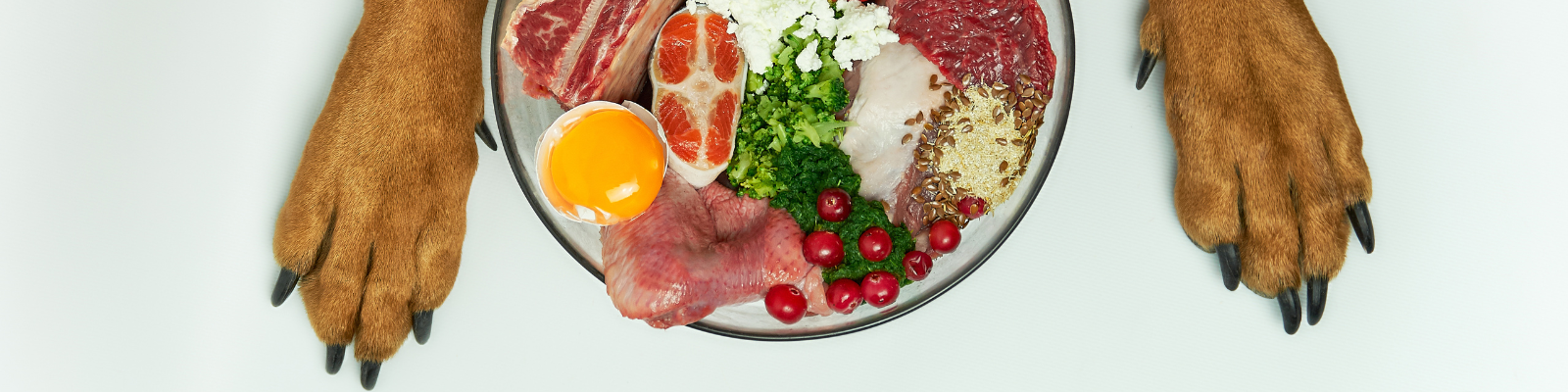 Dog Raw & Frozen Treats