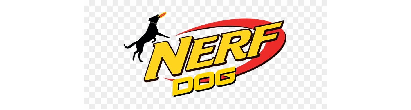 Nerf Dog