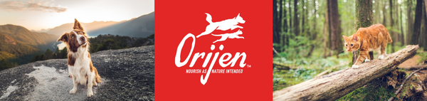 Orijen Dry Cat Food Subscription