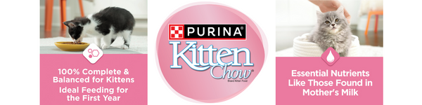 Purina Kitten Chow Dry Food Subscription