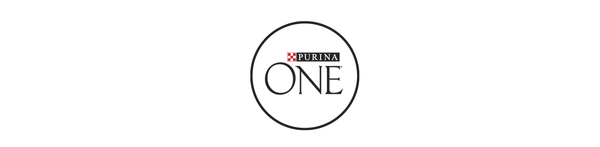 Purina ONE Dry Dog Food Subscription