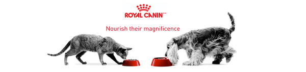 Royal Canin Cat Food Pouches