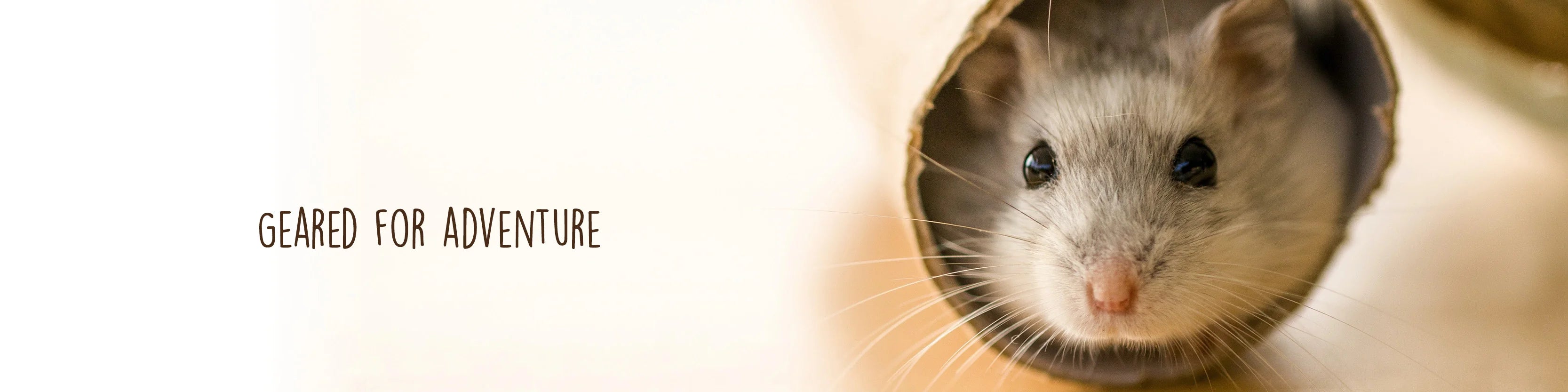 Subscription - Small Animal Accessories