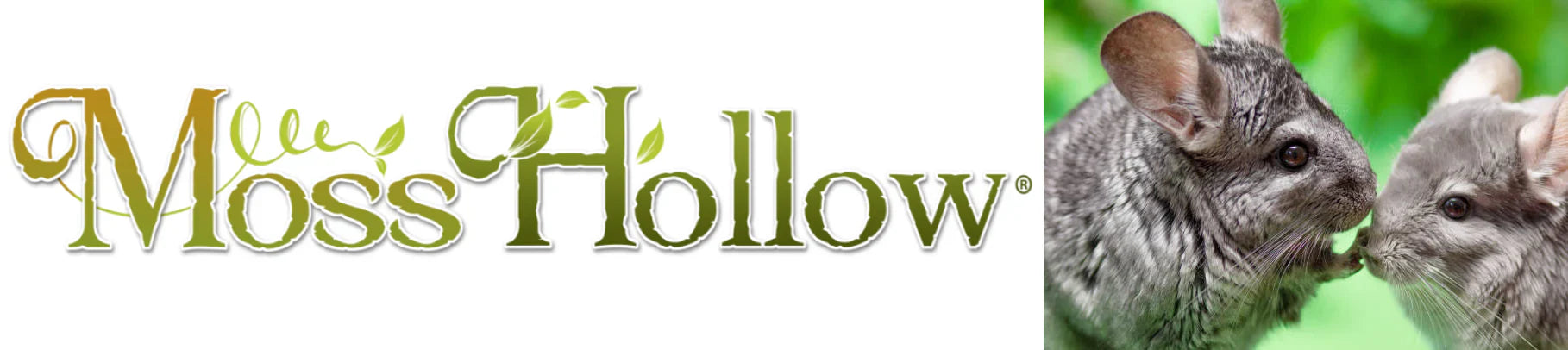 Moss Hollow Toys & Chews