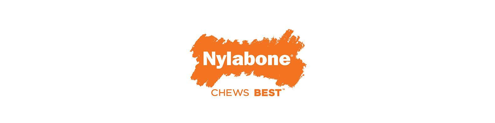 Nylabone