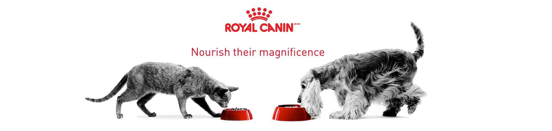 Royal Canin