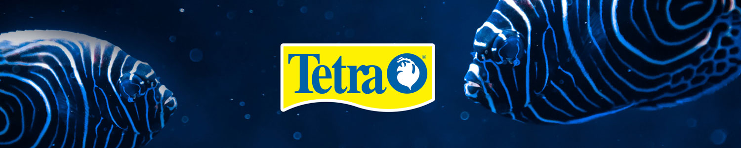 Tetra