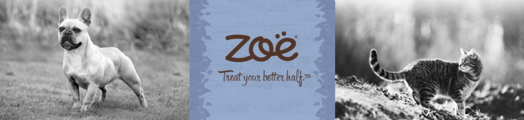 Zoe