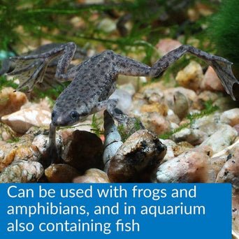 API API Turtle Water Conditioner