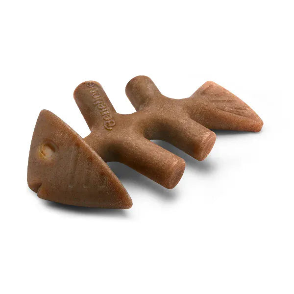 Benebone Jack Salmon Fishbone Dog Chew Toy – Petland Canada