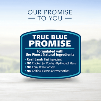 Blue Buffalo Co. BLUE Life Protection Formula Lamb & Brown Rice Recipe Dry Dog Food