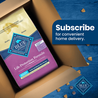 Blue Buffalo Co. BLUE Life Protection Formula Large Breed Lamb & Brown Rice Recipe Dry Dog Food, 26lb