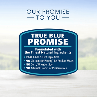 Blue Buffalo Co. BLUE Life Protection Formula Large Breed Lamb & Brown Rice Recipe Dry Dog Food, 26lb