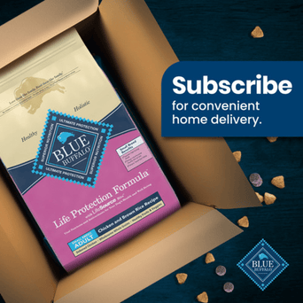 Blue Buffalo Co. BLUE Life Protection Formula Small Breed Chicken & Brown Rice Recipe Dry Dog Food