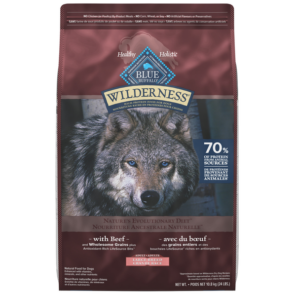 Holistic large breed dog food online