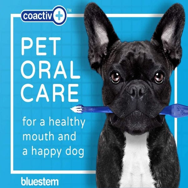 Bluestem Oral Care Chicken Flavor Toothpaste for Dogs and Cats Petland Canada