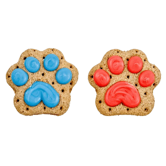 Bosco and Roxy's Bosco and Roxy's Birthday | Let the Paw-nanigans Begin!