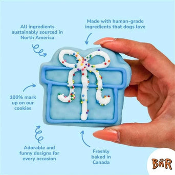 Bosco and Roxy's Bosco and Roxy's Birthday | Pop-a-Balloon Bones