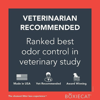 BoxieCat Boxiecat Extra Strength Scent-Free Premium Clumping Clay Cat Litter