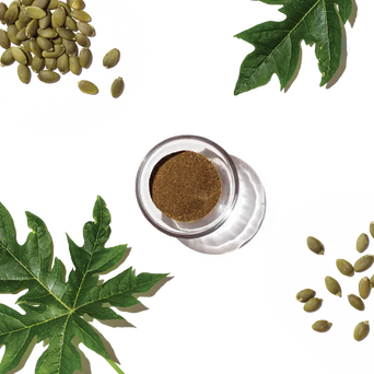 The Honest Kitchen Perfect Form Herbal Digestive Supplement