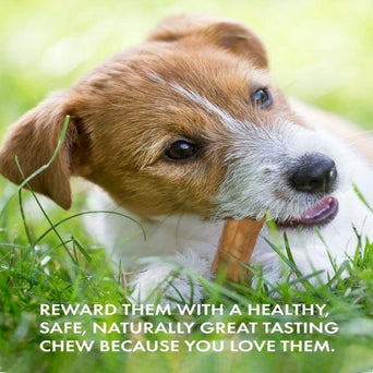 Canine Naturals Canine Naturals Hide Free Bison Sticks Dog Chew