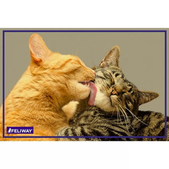 Ceva FELIWAY FRIENDS 30 Day Refill