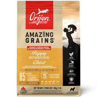 Champion Petfoods Orijen Amazing Grains Puppy Dry Dog Food