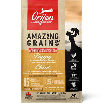 Champion Petfoods Orijen Amazing Grains Puppy Dry Dog Food