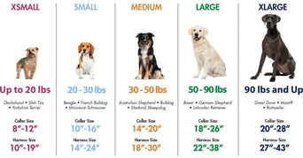 Coastal Pet Products Coastal No Slip Adjustable Martingale Dog Collar with Buckle