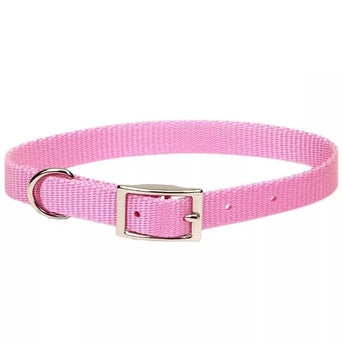 Coastal Pet Products Coastal Single-Ply Dog Collar