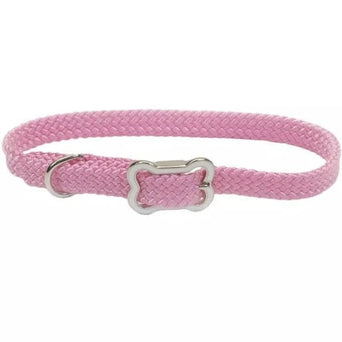 Coastal Pet Products Coastal Sunburst Dog Collar with Bone Buckle