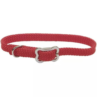 Coastal Pet Products Coastal Sunburst Dog Collar with Bone Buckle