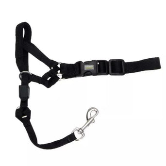 Coastal Pet Products Walk 'n Train! Dog Head Halter