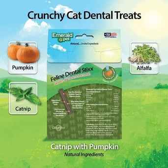 Emerald Pet Emerald Pet Feline Dental Stixx Catnip & Pumpkin
