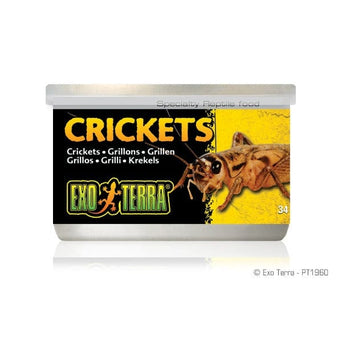 Exo Terra Exo Terra Crickets Canned Specialty Reptile Food