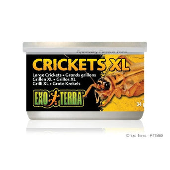 Exo Terra Exo Terra Crickets Canned Specialty Reptile Food