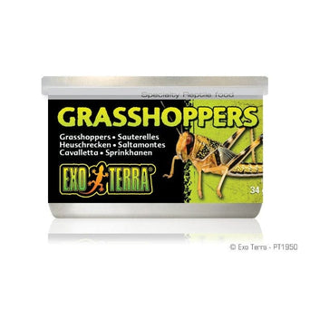 Exo Terra Exo Terra Grasshoppers Canned Specialty Reptile Food