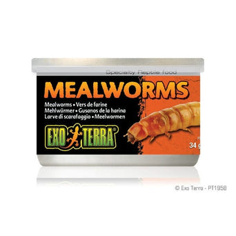 Exo Terra Exo Terra Mealworms Canned Specialty Reptile Food