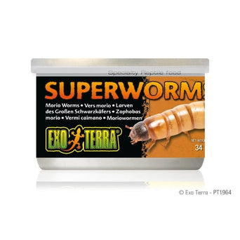 Exo Terra Exo Terra Superworms Canned Specialty Reptile Food