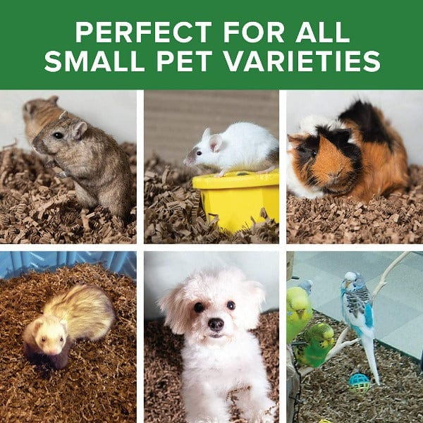 Eco Bedding for Small Pets Petland Canada