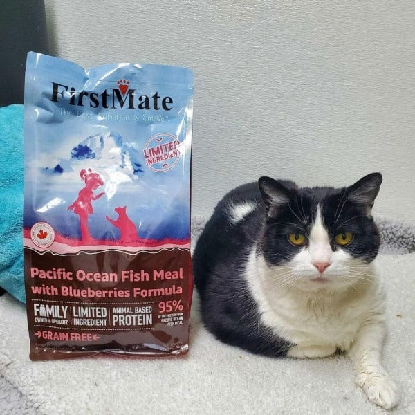 FirstMate LID Ocean Fish Meal & Blueberries Formula Dry Cat Food, 1.8k