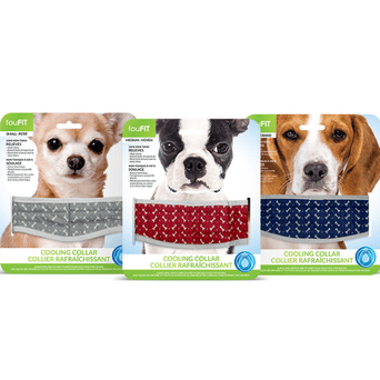 foufouBRANDS fouFIT Cooling Dog Collar