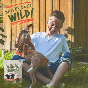 Fruitables Wildly Natural Whole Jerky Alaskan Salmon Dog Treats