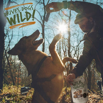 Fruitables Wildly Natural Whole Jerky Grilled Bison Dog Treats