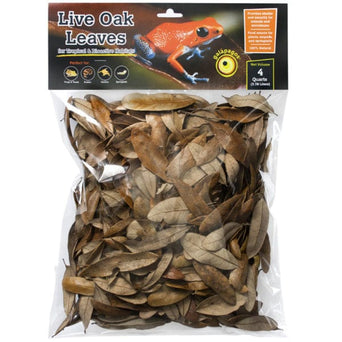 Galápagos Galápagos Natural Live Oak Leaf Litter