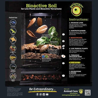 Galápagos Galápagos Natural Magnolia Leaf Litter