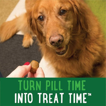 Greenies Greenies Pill Pockets Chicken Flavour Dog Treats